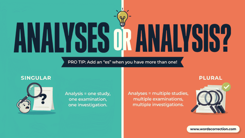 Analyses or Analysis Meaning, Difference and Usage