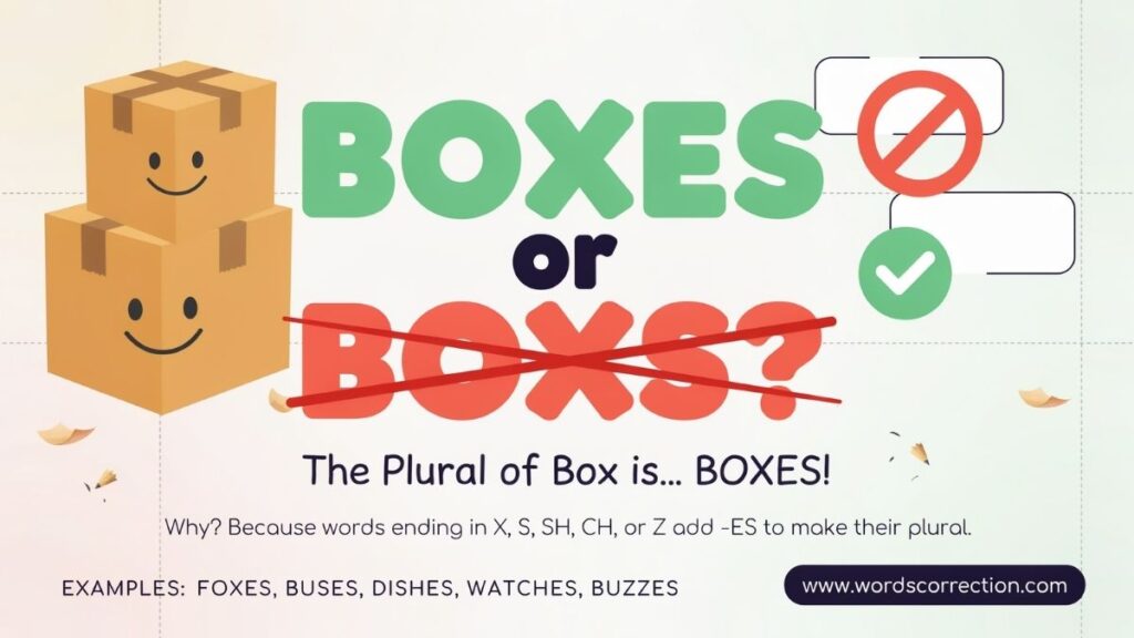 Boxes or Boxs Correct Spelling and Usage