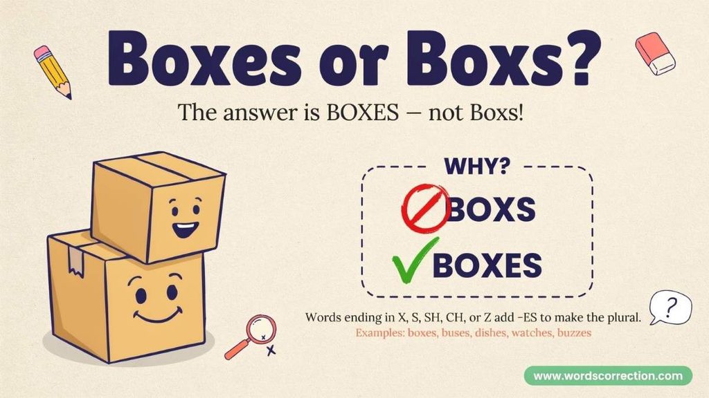 Box or Boxes Grammar