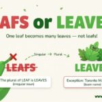 Leafs or Leaves Which one Is Correct?