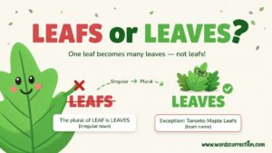 Leafs or Leaves Which one Is Correct?